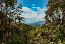 Load image into Gallery viewer, Luxurious Glamping Hut