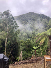 Load image into Gallery viewer, Luxurious Belle Glamping Tent